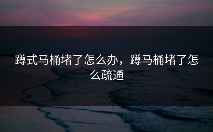 蹲式马桶堵了怎么办，蹲马桶堵了怎么疏通